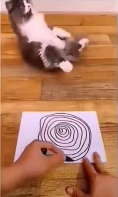 Couldn&rsquo;t stand the spirals