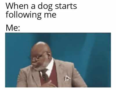 Any animal tbh ;-)