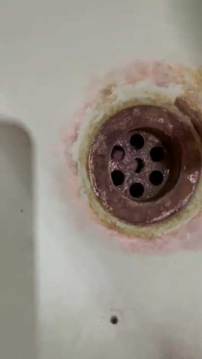 Guess what I have found under the wash basin sink! (Turn Audio ON)