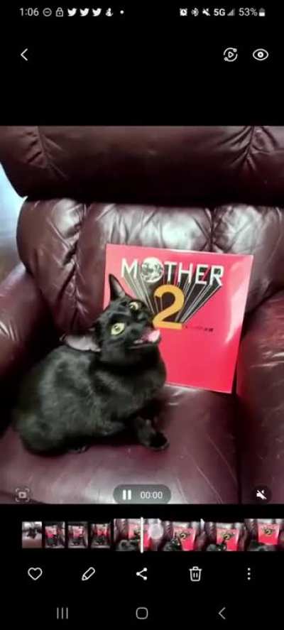 I&acirc;m new here. Is this wunky?