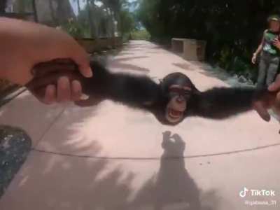 MONO SPIN EN 4K