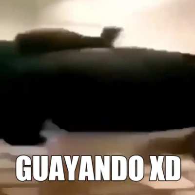 GUAYANDO
