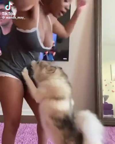 @wanda_may_