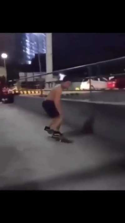 Olha o ollie ae