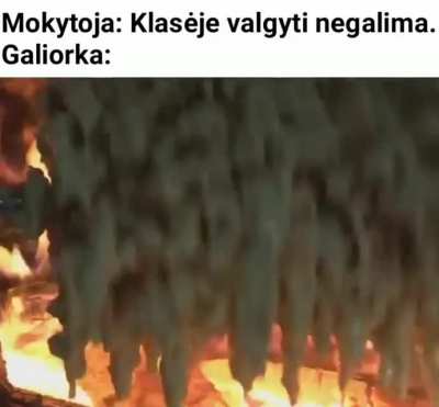 It's &scaron;akotis time