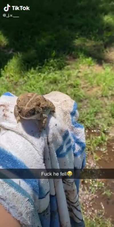 Rip Kermit