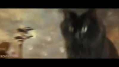 Owlkitty vs Godzilla amazing editing