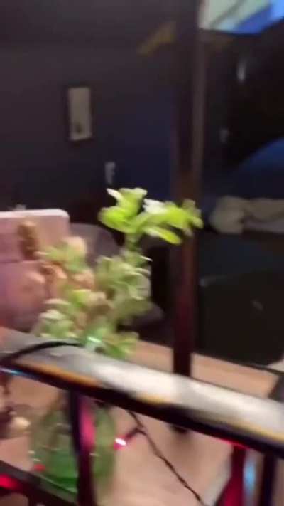 Wait for the end...