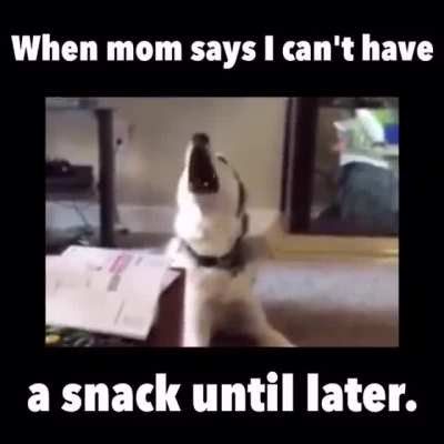 But whhhhyyyyyyy!??