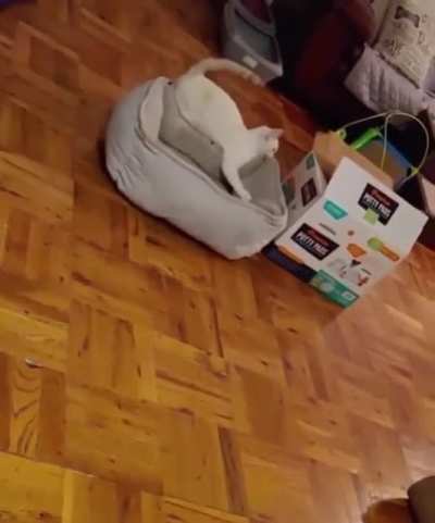 To get comfy