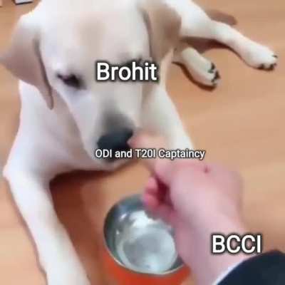 Welcome Back Koach