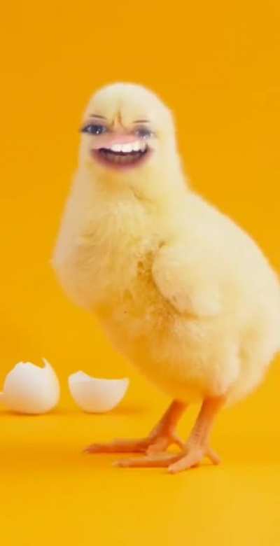 Chicken Time