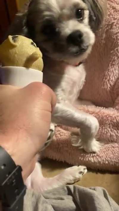 Ever seen those puppuccino squishies? He doesn&rsquo;t like them