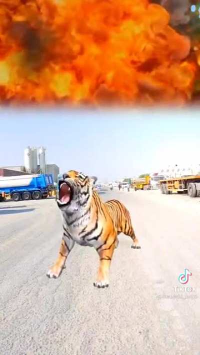 I&hellip;suppose this belongs here?