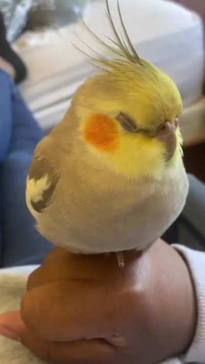 Yea sure I don&rsquo;t need that hand....you can rest there....I guess..🥲
