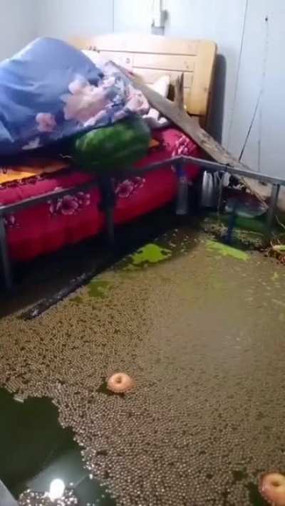 Qué