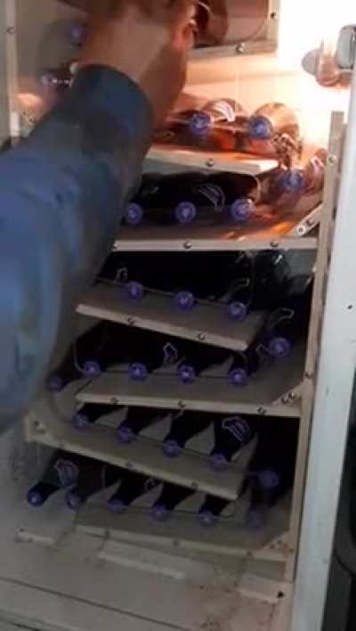Spring Break has arrived. The fridge has been converted. Ready to party! (listen to the sweet sound of the bottles)