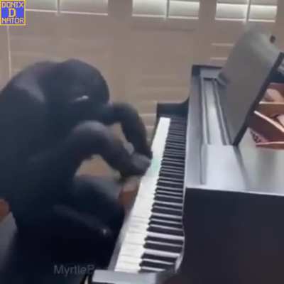 Monkey!