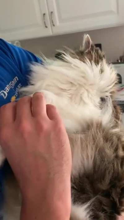 DeNiro&rsquo;s time with us is at an end. Wednesday night lap of love is coming to our house help him pass. Thanks to each and every one of you for your love of him. It has brought me such incredible joy you don&rsquo;t even know.