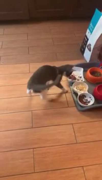 What’s in that breakfast?