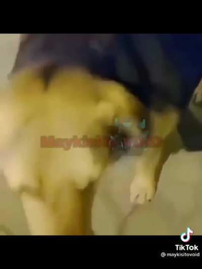 xd