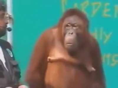 Monke