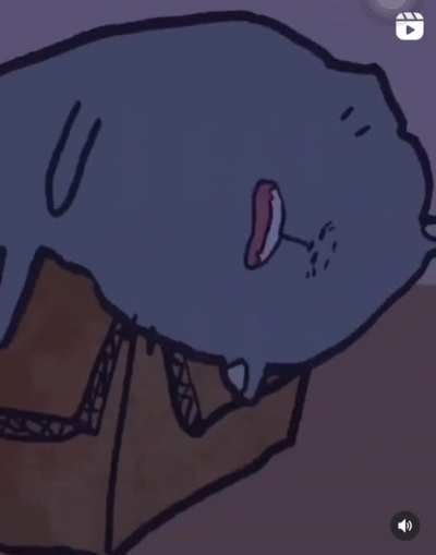 how it is having cats