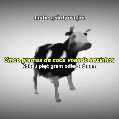 Passinho