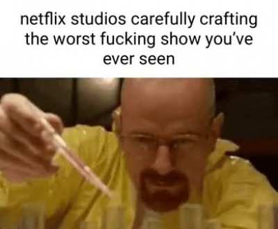 average netflix fan