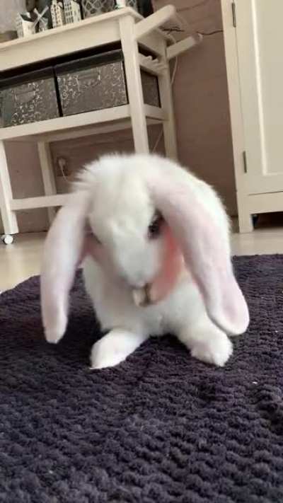 &ldquo;Scrub scrub scrub... oh, hi mom.&rdquo;