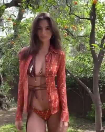 Insane Body