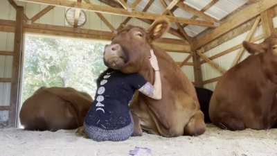 Did you need a hug today?