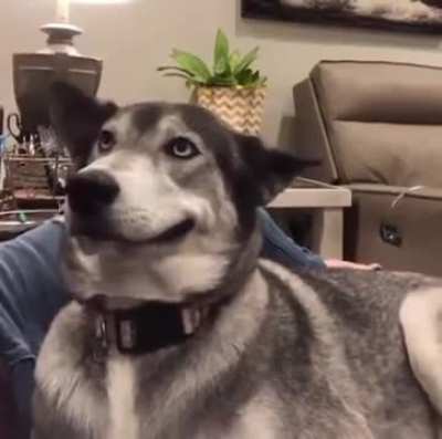 Ear rub