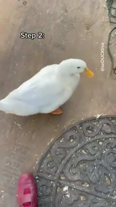 Melhor tutorial que voc&ecirc; ver&aacute; hoje