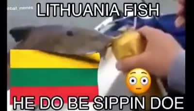 Regla