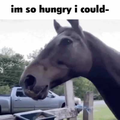 eat a