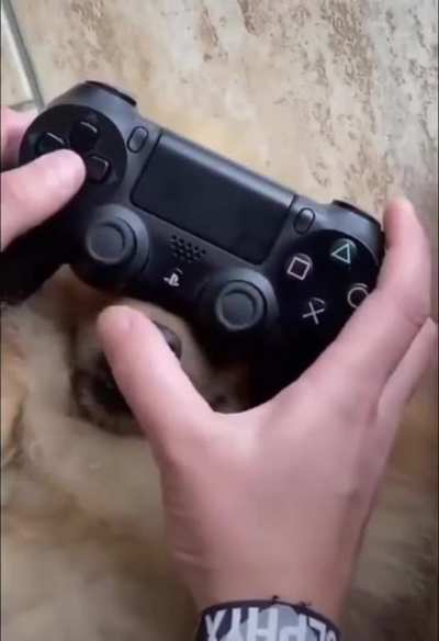Чудо джойстик