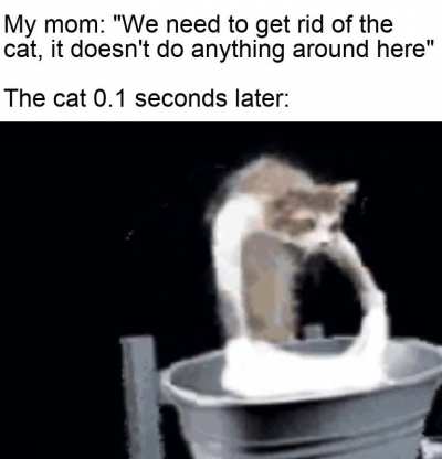 The cat is an unpaid worker