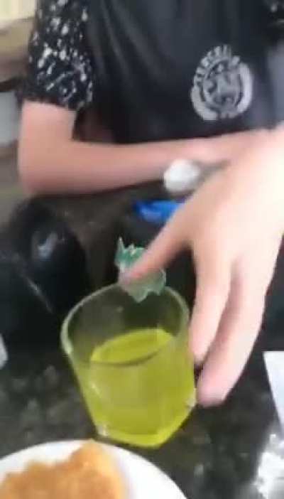 Hmm Gelarinho