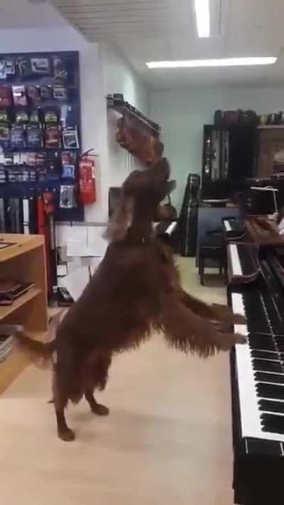 What I sound like when I play for my teacher