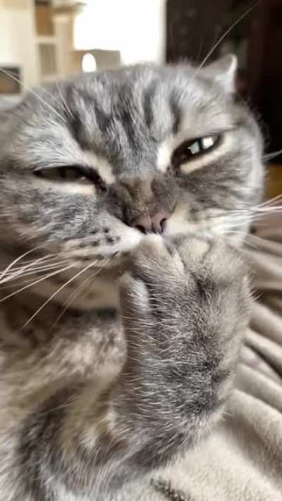 hypnosis
