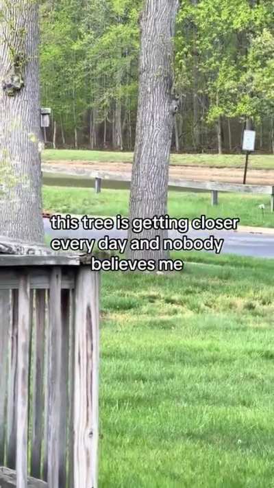 lol