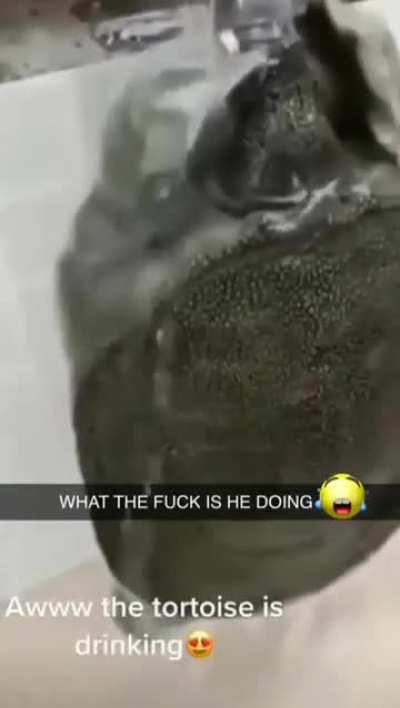 😯☹️🥺