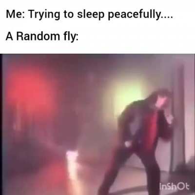 Why do flies exist