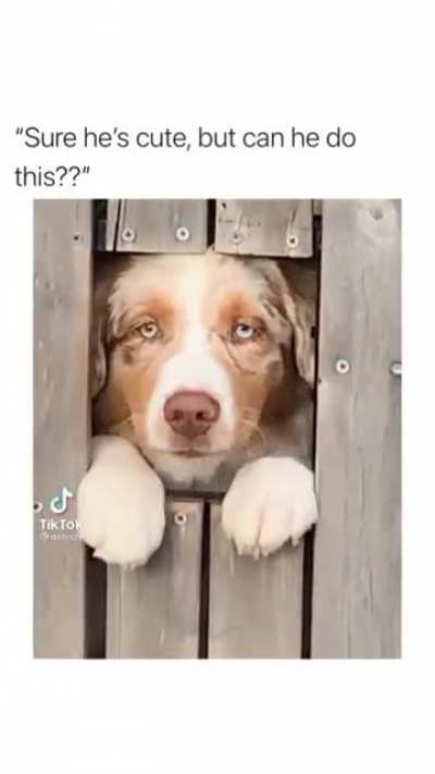 "my turn", literally
