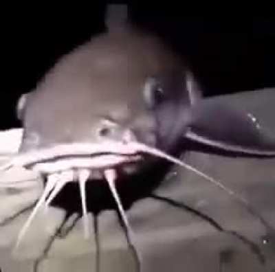 🤯