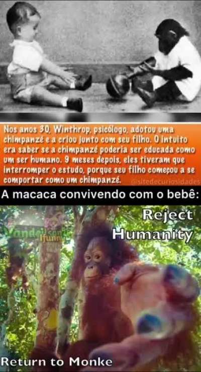 FODA-SE A EVOLU&Ccedil;&Atilde;O