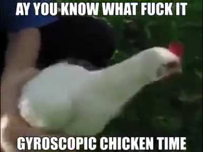 Gyroscopic Chicken 😂🐔