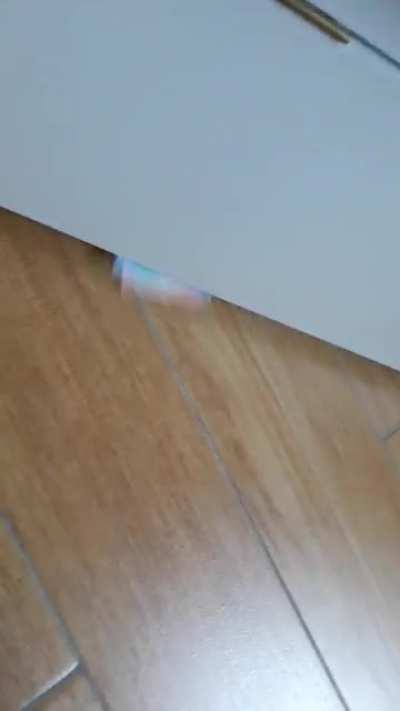 Il mostro sotto al letto paga l'affitto