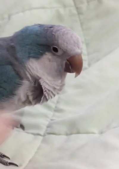 No, YOU&rsquo;RE cute 🥰 (sound)